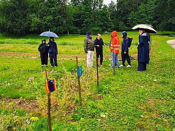 Die Besucher auf einem grünen Feld.